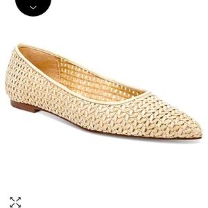 NWT Sam Edelman Wanda Woven Pointed Toe Flats- Summer is here! RETAILS $129
